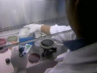 MEDICINA (9)  IMAGENES FOTOS
